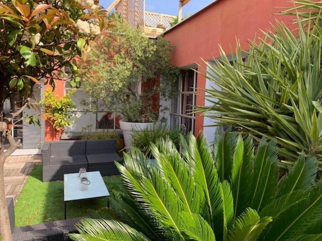Le Patio Pere Pigne Guestroom Perpiñán Exterior foto